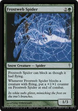 Frostweb Spider (#109)