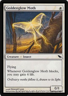 Golddenglow Moth