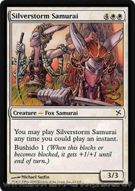 Silverstorm Samurai (#022)