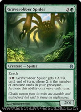 Graverobber Spider (#122)
