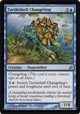 Turtleshell Changeling