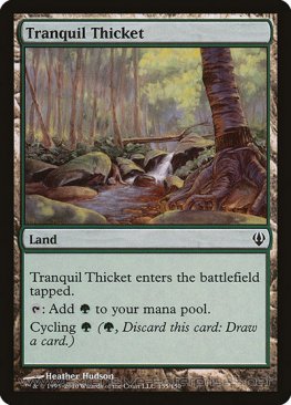 Tranquil Thicket (#135)