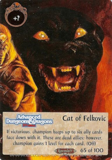 Cat of Felkovic