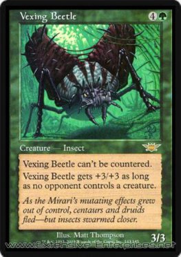 Vexing Beetle