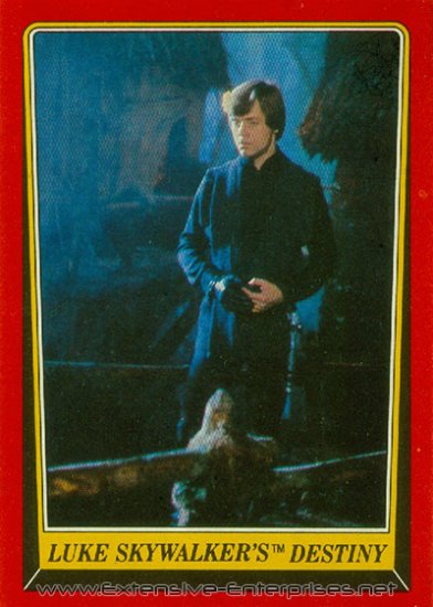 Luke Skywalker\'s Destiny #94