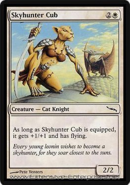 Skyhunter Cub