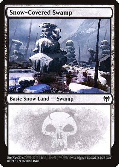 Snow-Covered Swamp (#281)