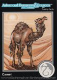 Camel #508