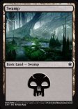 Swamp (#064)