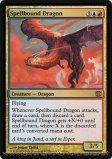 Spellbound Dragon