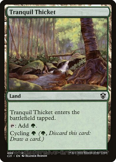 Tranquil Thicket (#408)