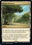 Exotic Orchard (#893)