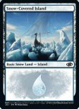 Snow-Covered Island (#833)
