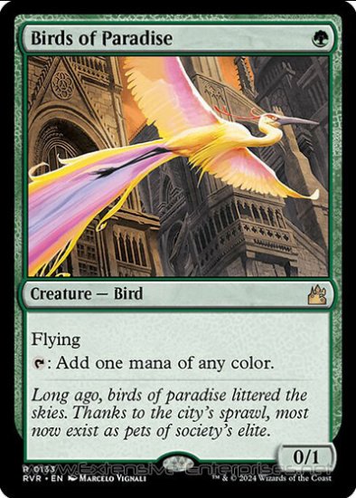 Birds of Paradise (#133)