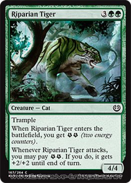 Riparian Tiger (#167)