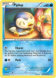 Piplup (#RC6)