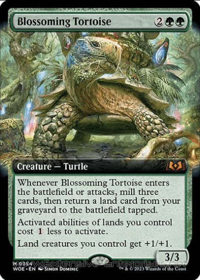 Blossoming Tortoise (#354)