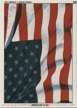 American Flag #22 (Sticker)