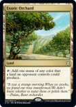 Exotic Orchard (#242)