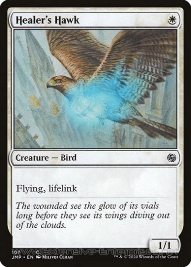 Healer\'s Hawk (#107)