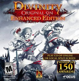 Divinity: Original Sin (Enchanted Edition)