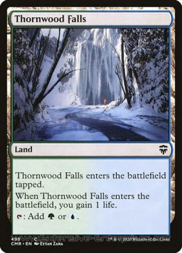 Thornwood Falls (#498)
