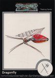 Dragonfly #551