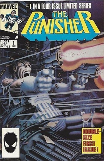 Punisher, The #1 (Direct)