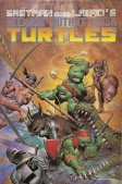 Teenage Mutant Ninja Turtles #33