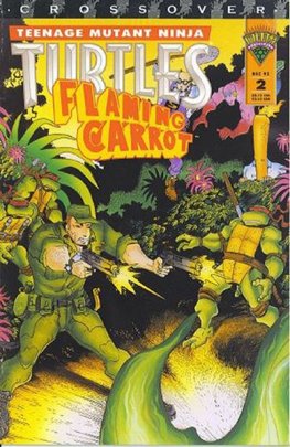 Teenage Mutant Ninja Turtles / Flaming Carrot #2
