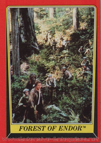 Forest of Endor #68