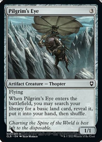 Pilgrim\'s Eye (#333)