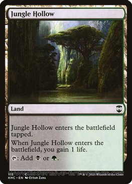 Jungle Hollow (Commander #113)