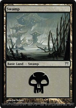 Swamp (#295)