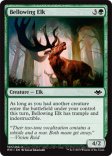 Bellowing Elk (#157)