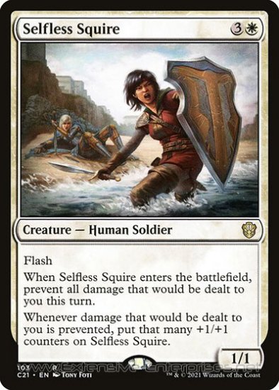 Selfless Squire (#103)