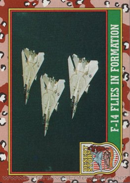 F-14 Flier in Formation #22