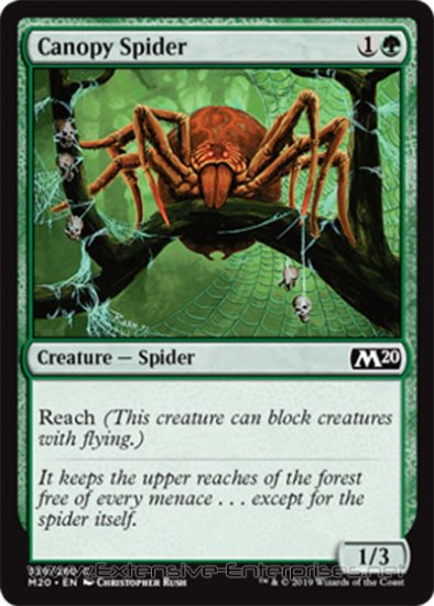 Canopy Spider (#339)