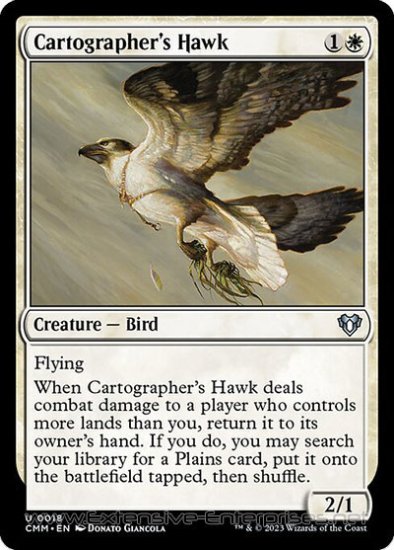 Cartographer\'s Hawk (#0018)