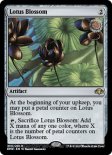Lotus Blossom (#230)