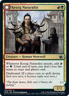 Kessig Naturalist / Lord of the Ulvenwald (#231)
