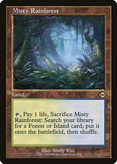 Misty Rainforest (#438)