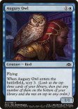 Augury Owl (#014)