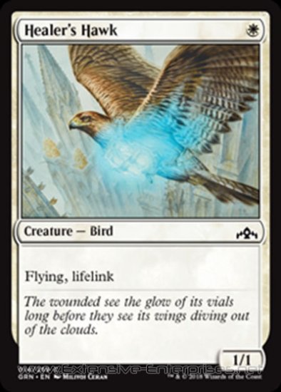 Healer\'s Hawk (#014)