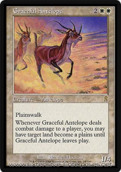 Graceful Antelope