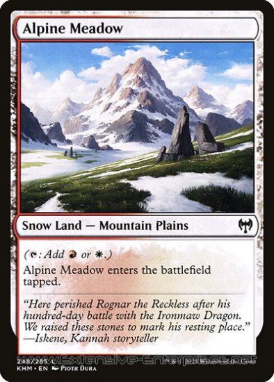 Alpine Meadow (#248)