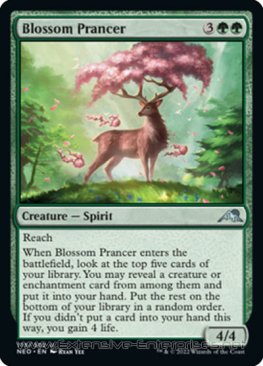 Blossom Prancer (#175)