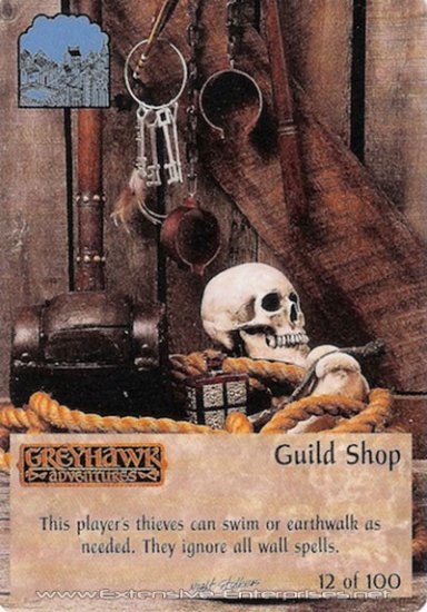 Guild Shop