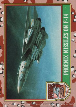 Phoenix Missile on F-14 #23