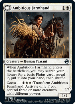 Ambitious Farmhand / Seasoned Cathar (#002)